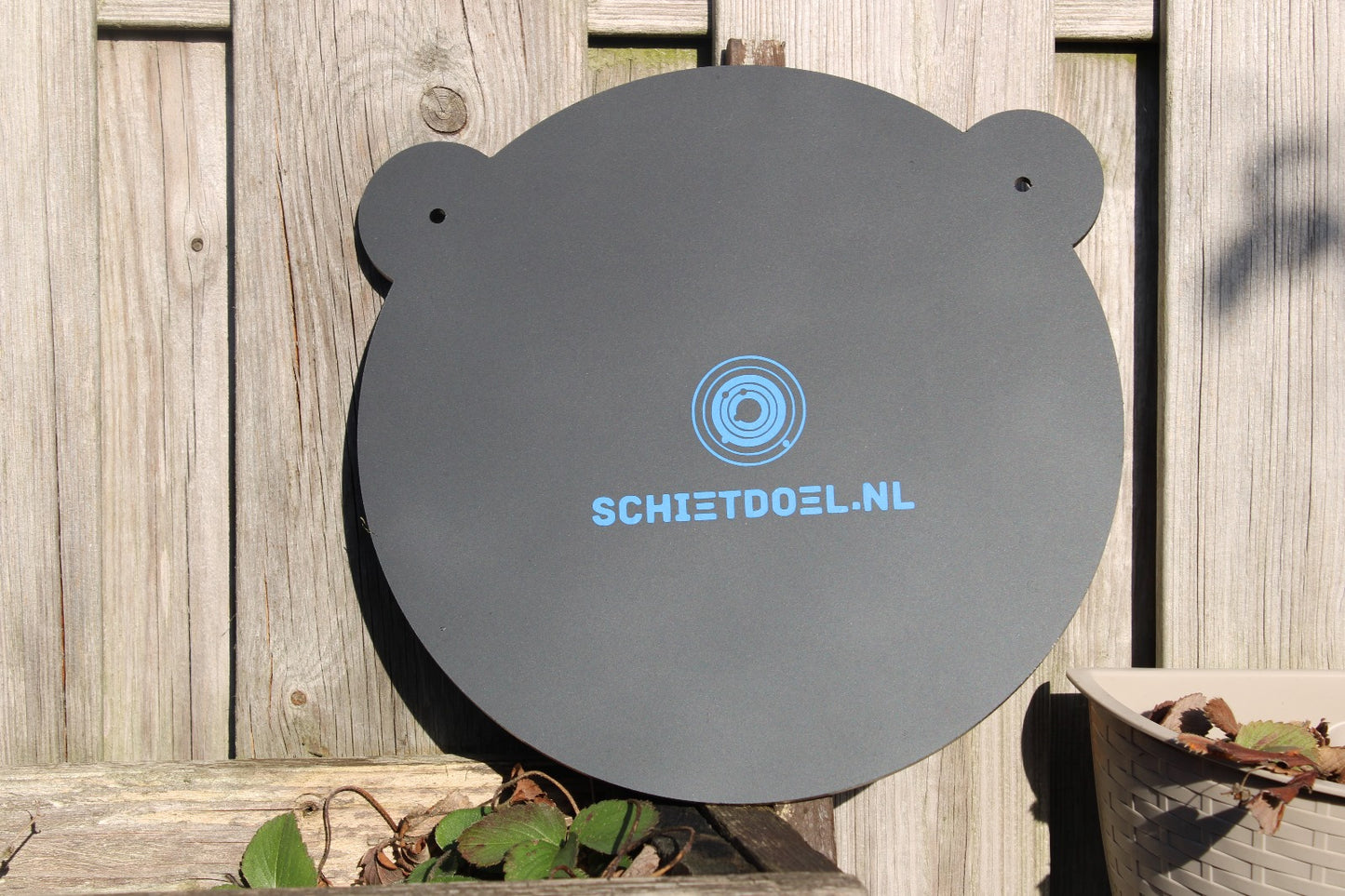 Gong-Schießziel
